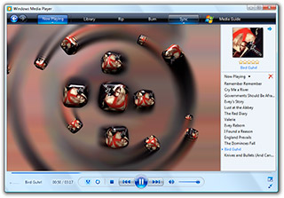 wmpvisual2.jpg