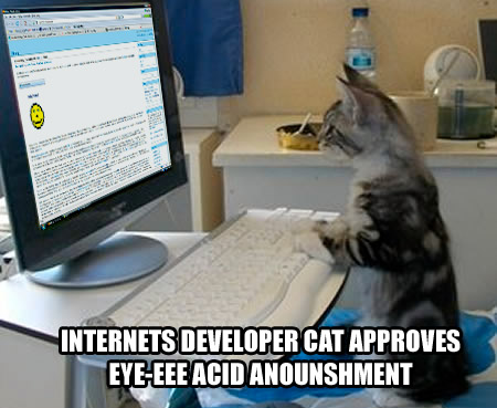 INTERNETS DEVELOPER CAT APPROVES EYE-EEE ACID ANOUNSHMENT