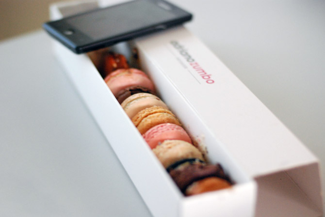 wp7mangotreats