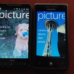 wpdemo15