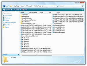 Windows Media Player 11 Library Cache Istartedsomething