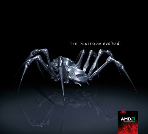 AMD Spider